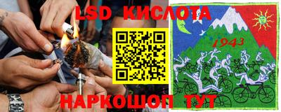 spice Чебоксары