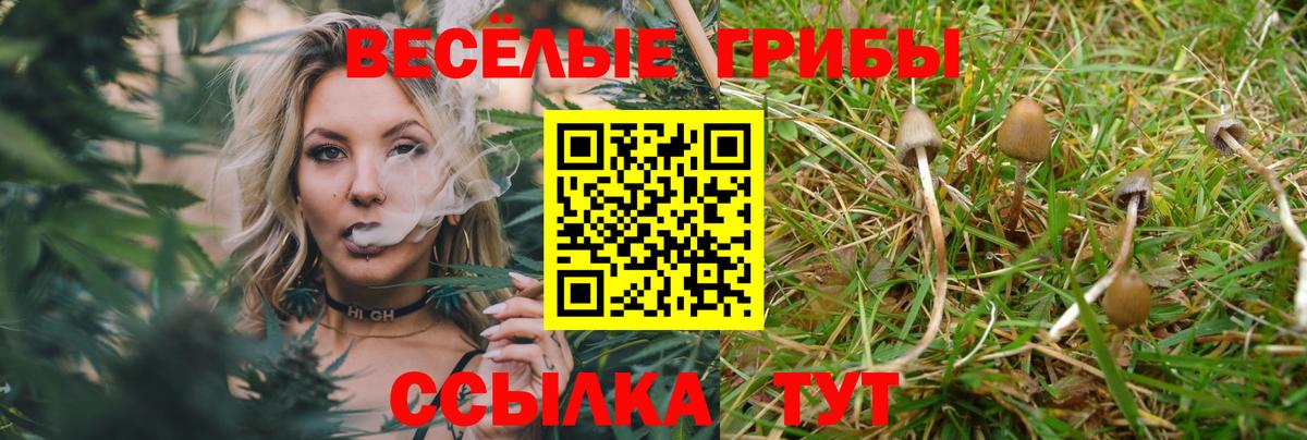 Галлюциногенные грибы мицелий  Вход с VPN  Пугачёв 
