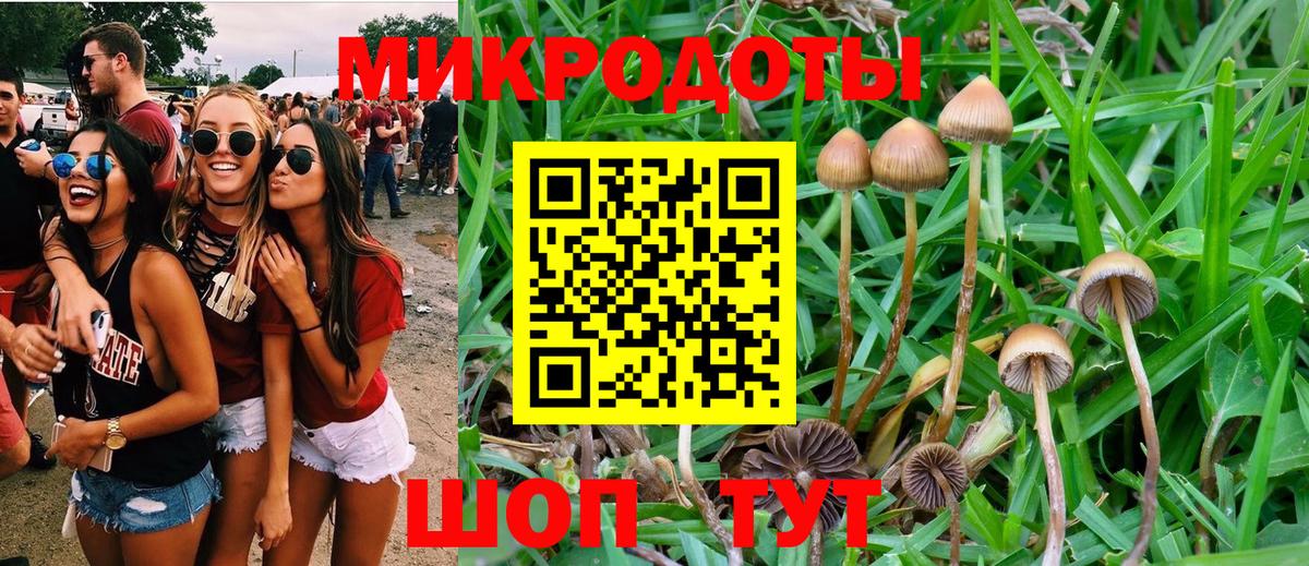 Псилоцибиновые грибы Cubensis Пугачёв
